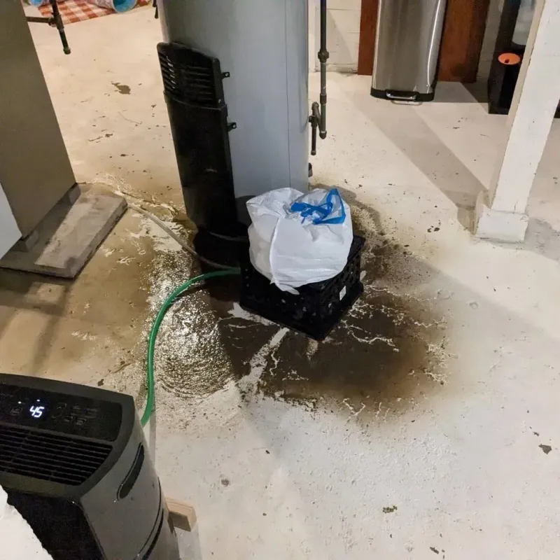Sewage Backup Cleanup Service in Haledon, NJ